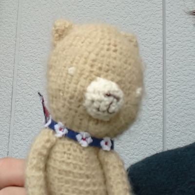 秋田県出身。もうアラフィフ。夫と高校生の娘の３人家族（＋猫２匹）。