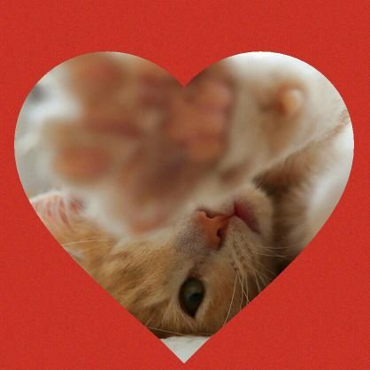 2018.7…ジェジュンは私の人生を変えてくれた人😘🍀ジェジュンなしでは生きられない😺❤😺JJBANDも応援してます🎵無言フォロー失礼します🙏✨