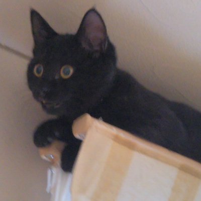 aretankuma's profile picture. デジタル初心者