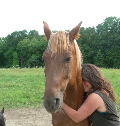 Horse Play
Trust, Respect, Compassion
An Equine Rescue & Sanctuary