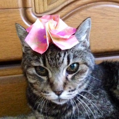 春眠さんのプロフィール画像