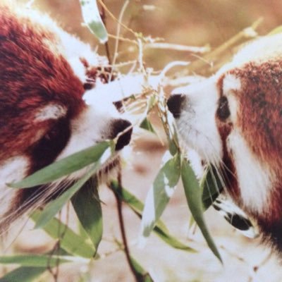 ミナモさんのプロフィール画像