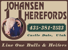 JoeHerefords's profile picture. Rancher and Civil Engineer.  Raising Line One Herefords in Central Utah while working as a Civil Engineer at Johansen & Tuttle Engineering