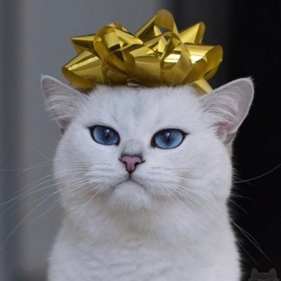 KasiaKasias's profile picture. 
