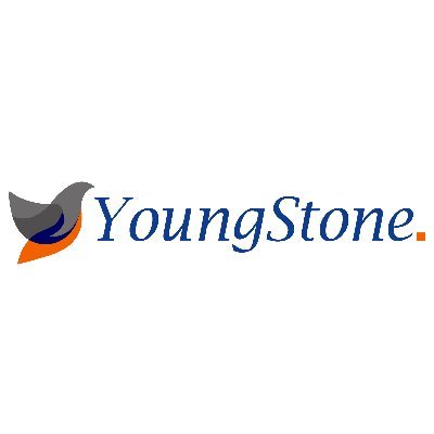 YoungStone_Tech's profile picture. YoungStone Technologies is a Digital Solutions provider that focuses on developing value adding technology solutions with user-engaging designs.