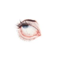 •𓆩👱🏻♀️🌻ﺳْآئِقهَۂ سُوَبْڕآ𓆪• (@ux__360) 's Twitter Profile