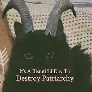 cryptidcore1's profile picture. Hi, I'm afraid of normal people... I am 14, i love cryptids and cryptic stuff, dm me if u wanna talk about paranormal stuff🌱🔪🖤