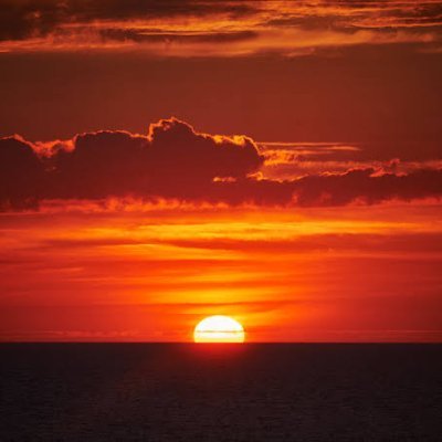 QUIZICALLY99 Profile