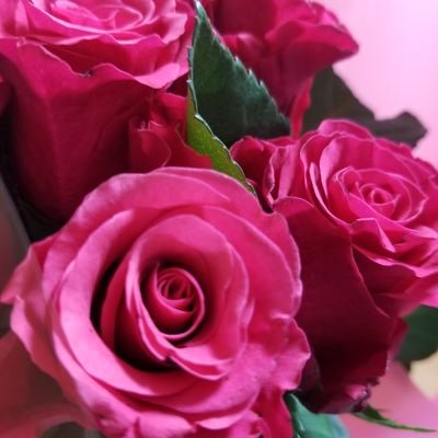 age34(;´д｀)
セパレートスノーボードはじめました。
Twitterには、なんてことない日常を呟きます。FGOとかキャンプとかセパレートスノーボードとか、apexも。趣味アカですので、よろしくお願いします(*´ー｀*)