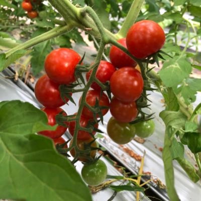 5Wl2p2bAez8zjLv's profile picture. 