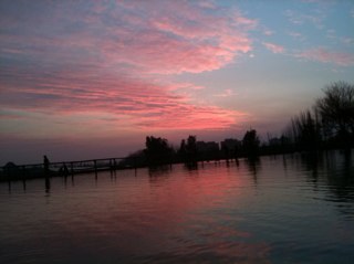 Cmsallini's profile picture. 