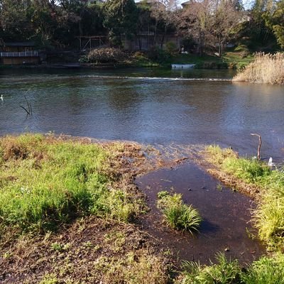 hagii_pagii's profile picture. 