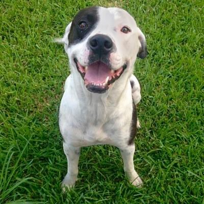 Didizlife's profile picture. The betrayal, humiliation, disrespect, hurt, and regret I've suffered will be no more. No more alcohol.