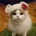 ð»ãã¯ãããšãð§ (@skycosmocandy) Twitter profile photo ð»ãã¯ãããšãð§ (@skycosmocandy) Twitter profile photo