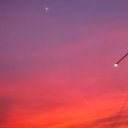 Pf20202's profile picture. 