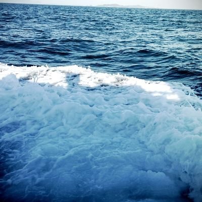 RmlThT9jPEEg0dV's profile picture. fishing