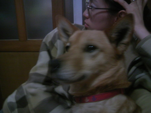 sakura_pp's profile picture. 