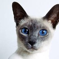 RHICKS (@rhicks90430767) 's Twitter Profile