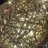 free_kwe's profile image