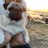 PugとHug.のアイコン