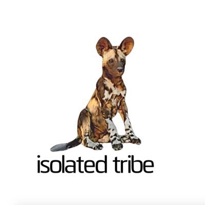 IsolatedTribe85 Profile Picture