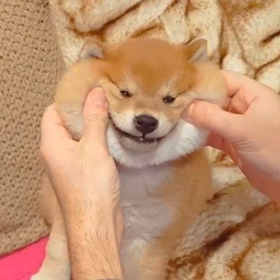 doingNothing_11's profile picture. 🌻🌞