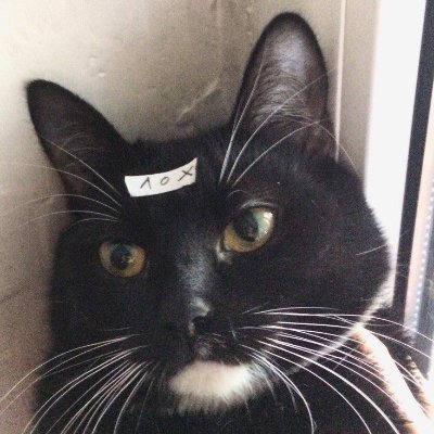 Olkou's profile picture. Этому столику больше не наливать