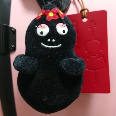 長年の夢だったチェロを2015年6月から始めました。コツコツ練習しています。50代。橋本病→バセドウ病、冠攣縮性狭心症と共に仲良く生きています。