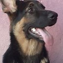 Jaime arango - @Jaimear38785038 - Twitter