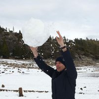 Theo Albers '67 (@theo_albers) 's Twitter Profile