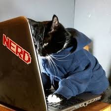 CatmanDanial's profile picture. 