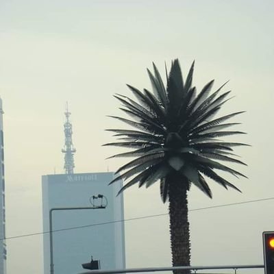 UDbrowski's profile picture. 