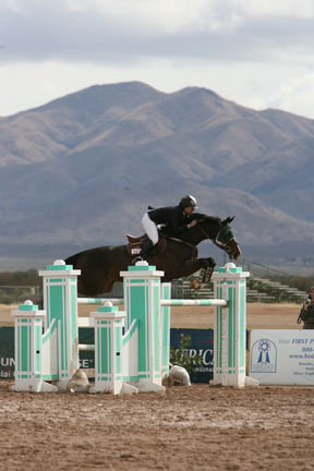 memory799's profile picture. Specialize in the TRAINING AND SELLING of young horses to hunters to winning grand prix horses. 
HUNTER 
JUMPER 
EQUITATION HORSE
OR TOP YOUNGSTER