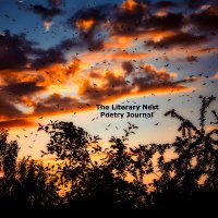 TheLiterary Nest (@theliterarynest) 's Twitter Profile