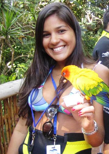 rodriguesevelin's profile picture. 