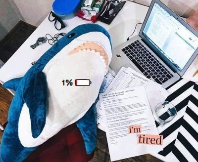 pizzahako's profile picture. 