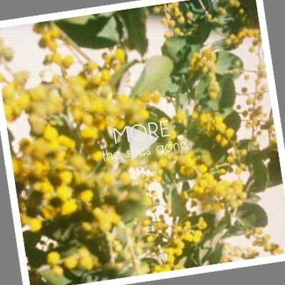 theshesgone_nk's profile picture. 趣味アカ。パチスロ、乃木坂、櫻坂、日向坂好き。