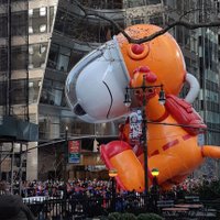 David Torrans (@torransdavid) 's Twitter Profile