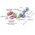 myosin actin crazy (@myosinactncrazy) Twitter profile photo myosin actin crazy (@myosinactncrazy) Twitter profile photo