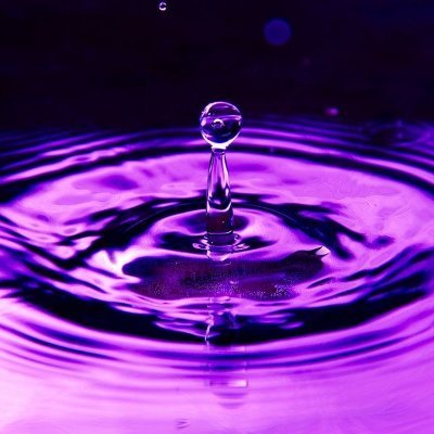 xShy_Foxx's profile picture. she/her