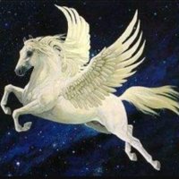 hüso baba (@baba_huso) 's Twitter Profile