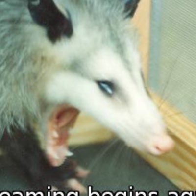 *distant screaming*さんのプロフィール画像