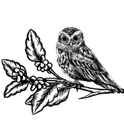 C_for_david's profile picture. Pollyannaish.