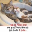 Eli Isaacson - @e4fore - Twitter