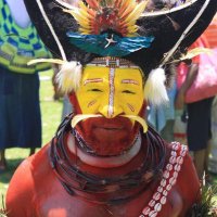 @dcospngdf (@dcospngdf1) 's Twitter Profile Photo