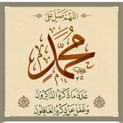 شذى ناصر الصباح Profile