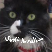 ShroffAnimalLaw ⚖️🐾 (@shroffanimallaw) 's Twitter Profile Photo