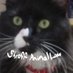 ShroffAnimalLaw ⚖️🐾 (@shroffanimallaw) Twitter profile photo ShroffAnimalLaw ⚖️🐾 (@shroffanimallaw) Twitter profile photo