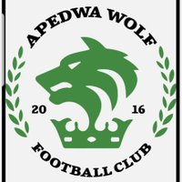 APEDWA WOLF FOOTBALL CLUB(@apedwawolffc) 's Twitter Profile Photo