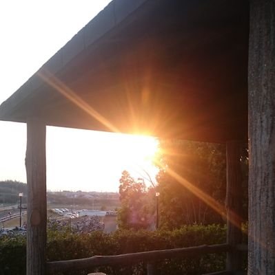 yina63852015's profile picture. PS系のトロフィーを集めてます。
一緒にトロフィー集め出来るフレンド募集中です！